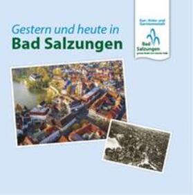 Rönnecke / Schulz | Bad Salzungen | Buch | 978-3-86595-777-1 | sack.de