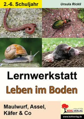 Rickli |  Lernwerkstatt Leben im Boden | Buch |  Sack Fachmedien