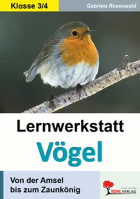Rosenwald |  Lernwerkstatt Vögel Von der Amsel bis zum Zaunkönig | Buch |  Sack Fachmedien