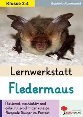 Rosenwald |  Lernwerkstatt Fledermaus | Buch |  Sack Fachmedien