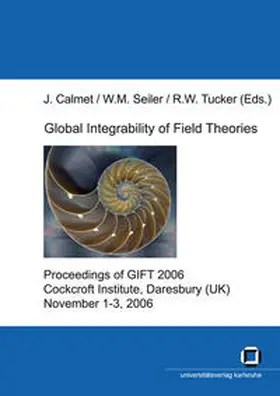 Calmet / Seiler / Tucker |  Global integrability of field theories | Buch |  Sack Fachmedien