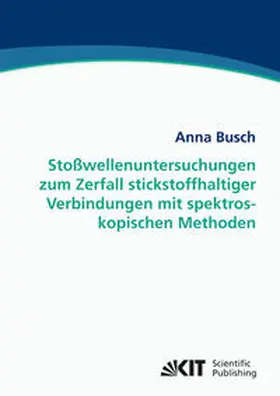 Busch |  Stoßwellenuntersuchungen zum Zerfall stickstoffhaltiger Verbindungen mit spektroskopischen Methoden | Buch |  Sack Fachmedien