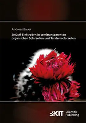 Bauer | ZnO:Al-Elektroden in semitransparenten organischen Solarzellen und Tandemsolarzellen | Buch | 978-3-86644-910-7 | sack.de