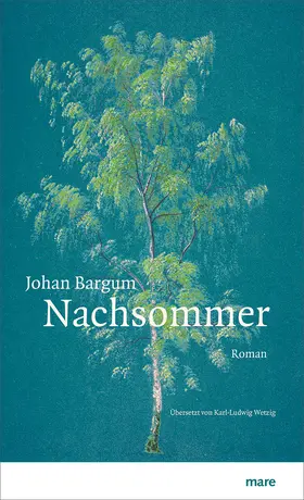 Bargum |  Nachsommer | Buch |  Sack Fachmedien