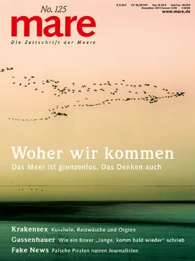 Gelpke |  mare No. 125.  Philosophie | Buch |  Sack Fachmedien