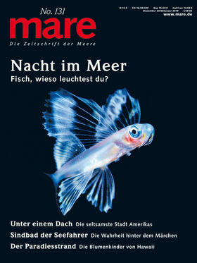Gelpke | mare - Die Zeitschrift der Meere / No. 131 / Nacht im Meer | Buch | sack.de