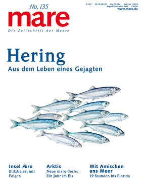 Gelpke | mare No. 135. Hering | Buch | 978-3-86648-424-5 | sack.de