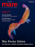Gelpke |  mare - Die Zeitschrift der Meere / No. 151 / Was Fische fühlen | Buch |  Sack Fachmedien