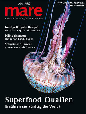 Gelpke | mare - Die Zeitschrift der Meere / No. 160 / Superfood Quallen | Buch | 978-3-86648-449-8 | sack.de
