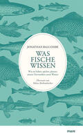 Balcombe |  Balcombe, J: Was Fische wissen | Buch |  Sack Fachmedien