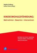 Goldberg / Schorn |  Kindeswohlgefährdung: Wahrnehmen - Bewerten - Intervenieren | Buch |  Sack Fachmedien