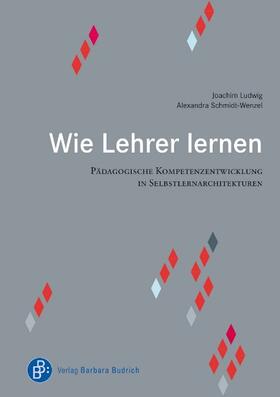 Ludwig / Schmidt-Wenzel | Wie Lehrer lernen | Buch | 978-3-86649-487-9 | sack.de