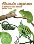 Schmidt |  Schmidt, W: Chamaeleo calyptratus | Buch |  Sack Fachmedien