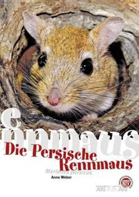 Anne |  Die Persische Rennmaus | Buch |  Sack Fachmedien