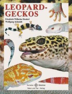Henkel / Schmidt | Leopardgeckos | Buch | 978-3-86659-089-2 | sack.de