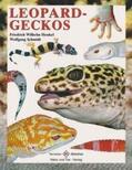 Henkel / Schmidt |  Leopardgeckos | Buch |  Sack Fachmedien