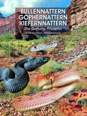 Skubowius / Hirschkorn |  Bullennattern und Kiefernnattern | Buch |  Sack Fachmedien
