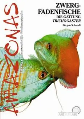 Schmidt |  Zwergfadenfische | Buch |  Sack Fachmedien