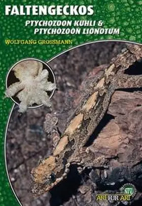 Grossmann |  Faltengeckos | Buch |  Sack Fachmedien