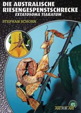 Schorn |  Die Australische Riesengespenstschrecke | Buch |  Sack Fachmedien