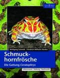 Henkel / Schmidt |  Schmuckhornfrösche | Buch |  Sack Fachmedien