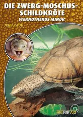 Rauh | Die Zwerg-Moschus-Schildkröte | Buch | 978-3-86659-137-0 | www.sack.de