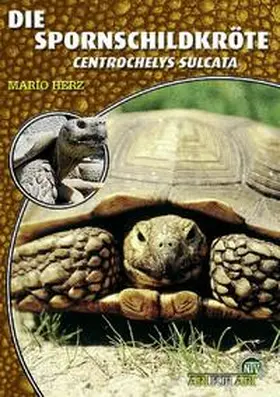 Herz |  Die Spornschildkröte | Buch |  Sack Fachmedien