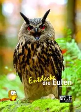 Schmidt |  Entdecke die Eulen | Buch |  Sack Fachmedien