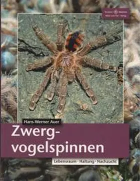 Auer |  Zwergvogelspinnen | Buch |  Sack Fachmedien