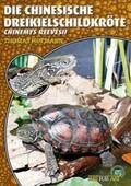 Hofmann |  Art für Art: Die Chinesische Dreikielschildkröte | Buch |  Sack Fachmedien