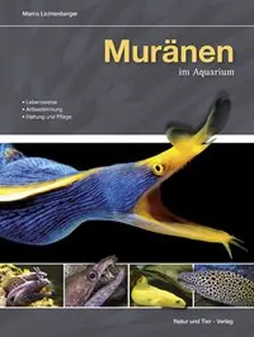 Lichtenberger | Muränen im Aquarium | Buch | 978-3-86659-211-7 | www.sack.de