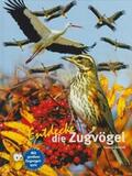 Schmidt |  Entdecke die Zugvögel | Buch |  Sack Fachmedien