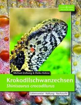 Zollweg / Kühne |  Krokodilschwanzechse | Buch |  Sack Fachmedien