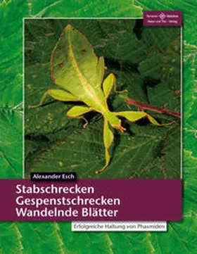 Esch | Stabschrecken, Gespenstschrecken, Wandelnde Blätter | Buch | 978-3-86659-221-6 | www.sack.de