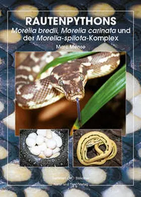 Mense |  Rautenpythons | Buch |  Sack Fachmedien