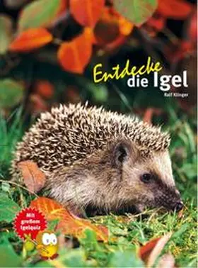 Klinger |  Entdecke die Igel | Buch |  Sack Fachmedien