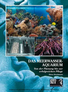 Brockmann |  Das Meerwasseraquarium | eBook | Sack Fachmedien