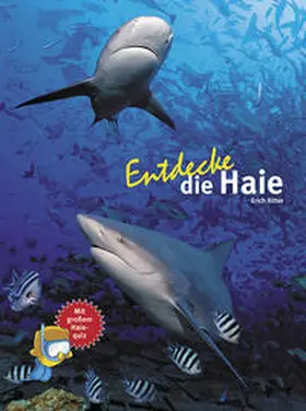 Ritter |  Entdecke die Haie | Buch |  Sack Fachmedien