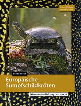 Wolff |  Europäische Sumpfschildkröten | Buch |  Sack Fachmedien