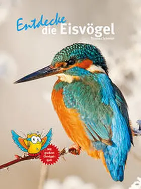 Schmidt |  Entdecke die Eisvögel | Buch |  Sack Fachmedien
