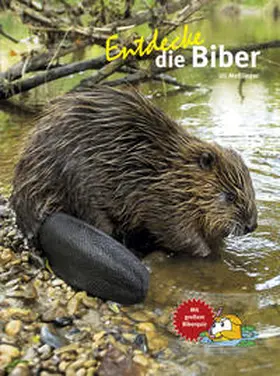 Meßlinger |  Entdecke die Biber | Buch |  Sack Fachmedien
