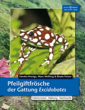 Honigs / Meßing / Pelzer |  Pfeilgiftfrösche der Gattung Excidobates | Buch |  Sack Fachmedien