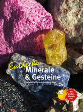 Dreizler / Giehl |  Entdecke Minerale und Gesteine | Buch |  Sack Fachmedien