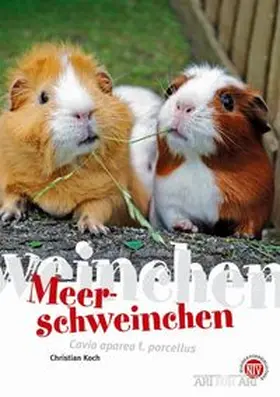 Koch |  Meerschweinchen | eBook | Sack Fachmedien