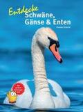 Schmidt |  Entdecke Schwäne, Gänse & Enten | Buch |  Sack Fachmedien