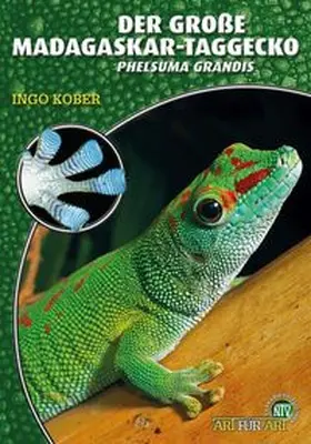 Kober |  Der Große Madagaskar-Taggecko | Buch |  Sack Fachmedien