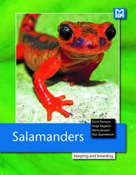 Pasmans / Bogarts / Janssen | Salamanders | Buch | 978-3-86659-497-5 | www.sack.de