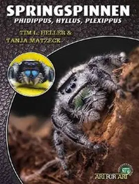 Heller / Matzeck |  Springspinnen | Buch |  Sack Fachmedien