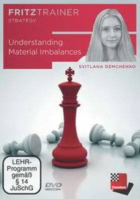 Demchenko |  Understanding Material Imbalances | Sonstiges |  Sack Fachmedien