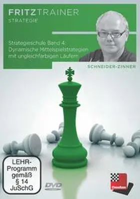 Schneider-Zinner |  Strategieschule Band 4 | Sonstiges |  Sack Fachmedien